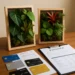Cartões de Crédito e Financiamentos para Lançar um Side Hustle de Jardinagem Vertical